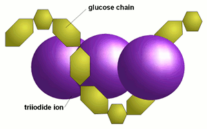 Molecular interaction between iodine and starch