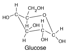 Molecular structure of glucose