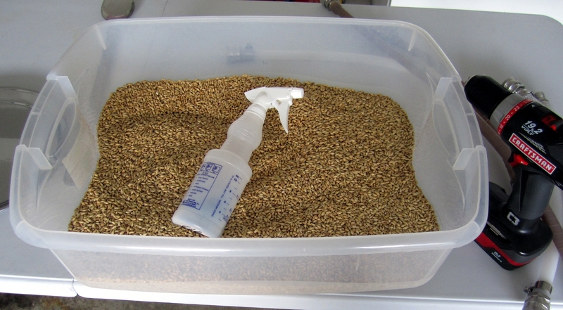 File:Unmilled-grain.jpg