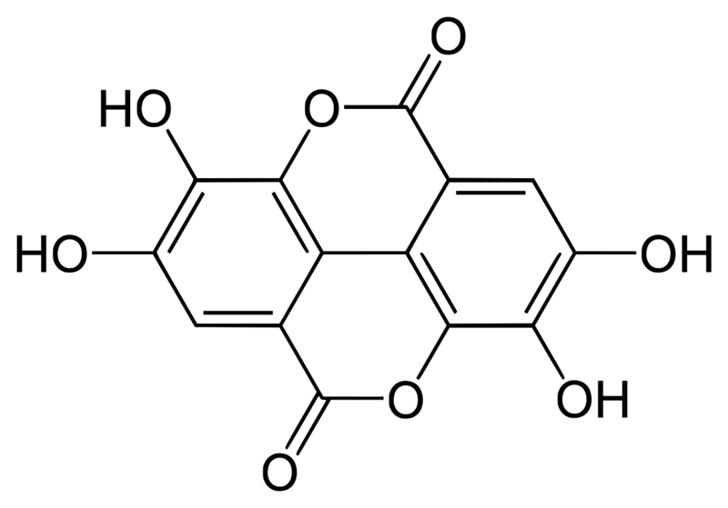 File:Ellagic-acid.png