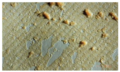 Thumbnail for version as of 09:14, 25 October 2020