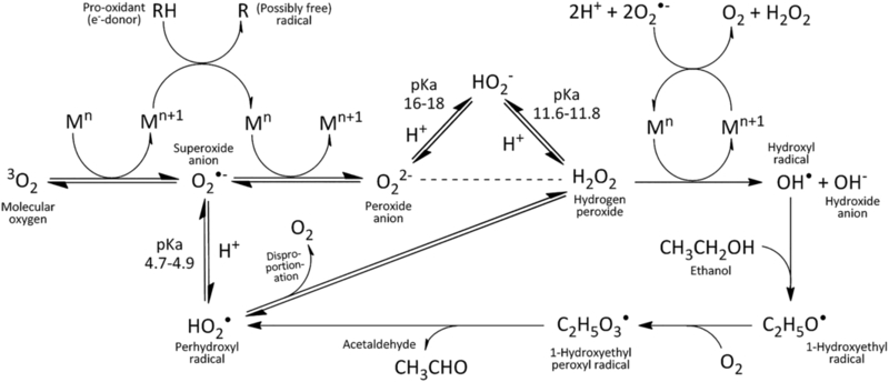 File:Ros-formation-by metals.jpg
