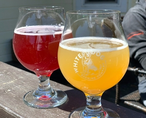 Fruited sour beers