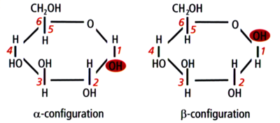 Glucose in alpha and beta configurations