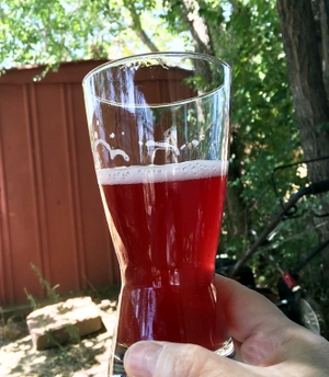 Sour beer in a glass